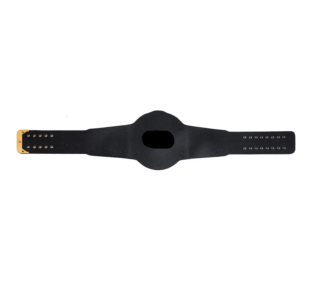 Compatible WCW World Heavyweight Championship Replica Title Belt leather strap