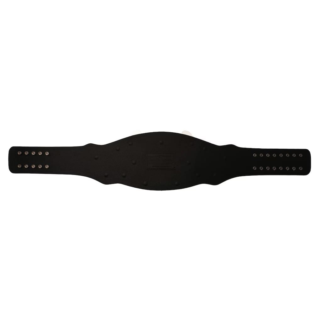 Compatible Divas Championship Retro Replica Title Belt black leather strap rear view