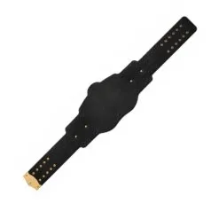 Compatible Tag Team Championship Replica Title Belt genuine leather replacement strap in black.